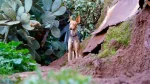 Canarian Warren Hound Dog photo