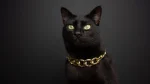 Mandalay Cat photo