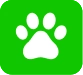 paw green background