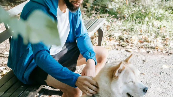 Siberian Laika Dog photo